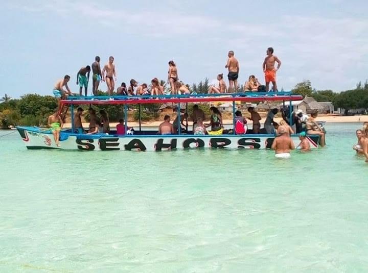 Dolphins Watamu Day Trip