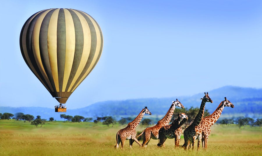 4 National Parks Safari