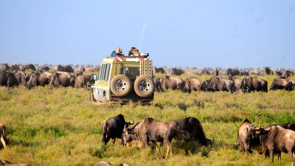 Maasai Mara Game Drives