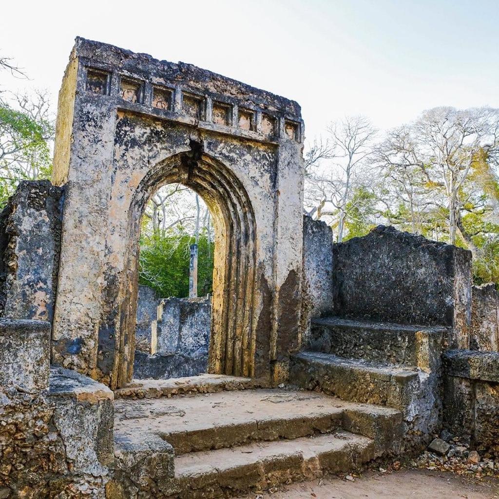 Gedi Ruins + Mida Creek