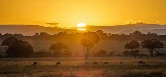Maasai Mara
